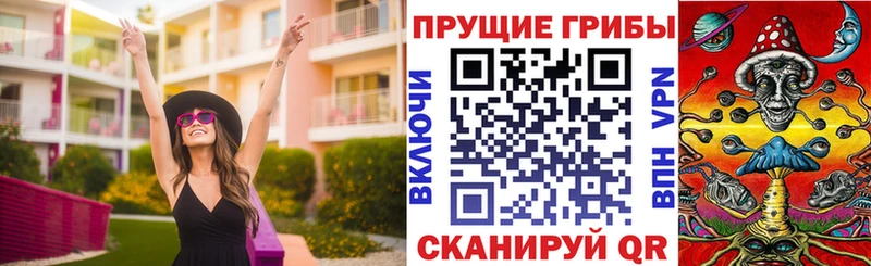 сколько стоит  Пикалёво  Псилоцибиновые грибы MAGIC MUSHROOMS 